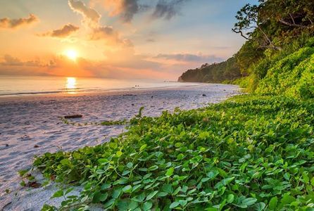Andaman Discovery Escape – Port Blair, Havelock & Neil - holiday package in Holiday Packages