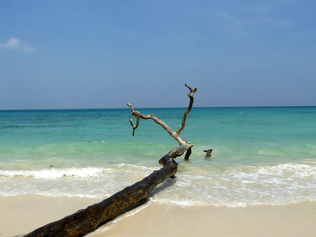 Andaman Escape: Port Blair & Havelock - holiday package in Holiday Packages