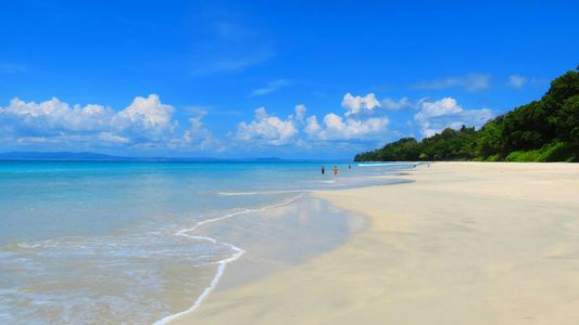 Andaman Honeymoon Escape - holiday package in Holiday Packages