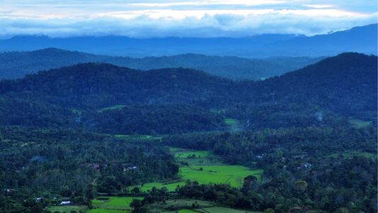 Coorg Unplugged – A Windflower Escape Amidst Coffee Estates - holiday package in Karnataka