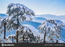 Glorious Himalaya Family Tour - holiday package in Himachal Pradesh