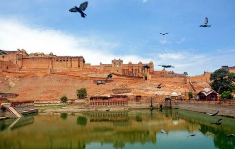 Golden Triangle With Royal Safari - holiday package in Rajasthan