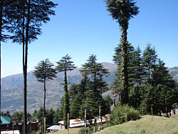 Grand Jammu & Kashmir Panorama - holiday package in Jammu and Kashmir