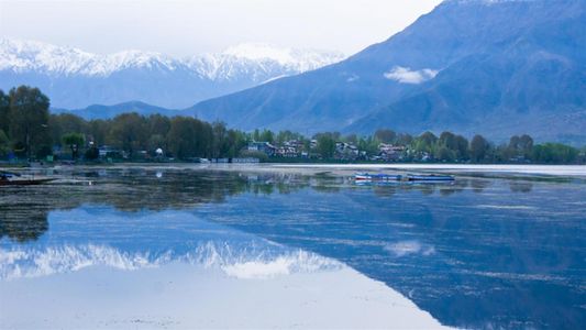 Kashmir Meadows Escape - holiday package in Jammu and Kashmir