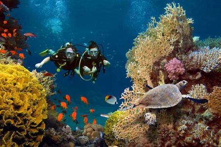 The Best of Andaman - Premium - holiday package in Holiday Packages