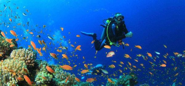Ultimate Goa Experience - holiday package in Goa